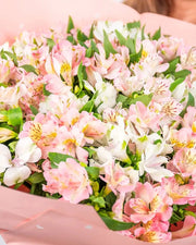 Alstroemeria Flower Meaning - DJ flowers