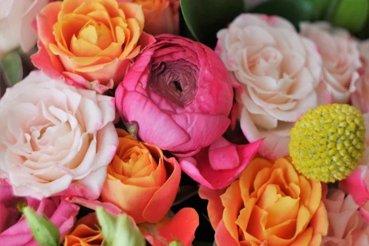 Birth Month Flowers and Their Meanings - DJ flowers
