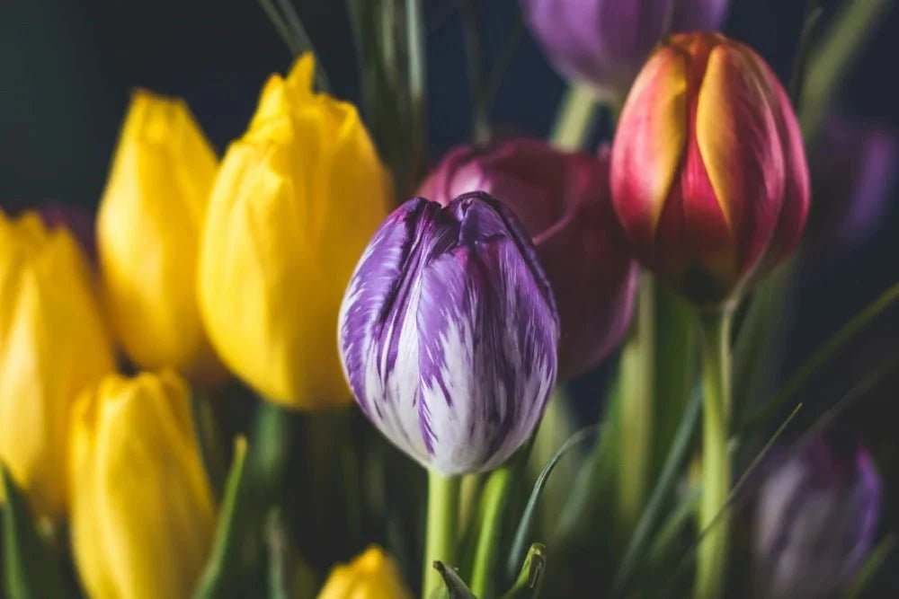 Welcome Flowers - DJ flowers