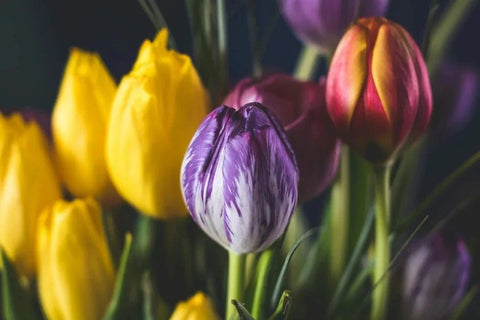 Welcome Flowers - DJ flowers