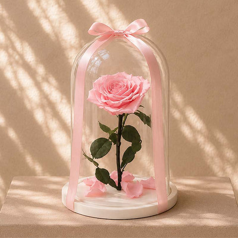 Forever Rose Collection - DJ flowers