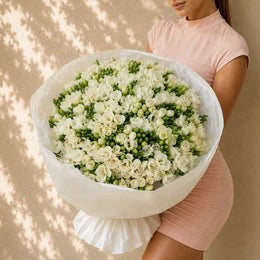 Freesias