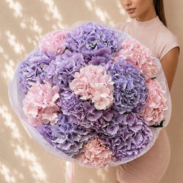 Hydrangea