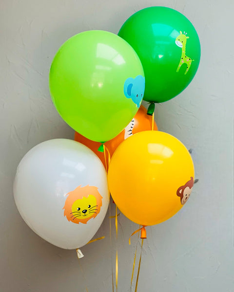 Balloons Cute and colorful set - DJ flowers