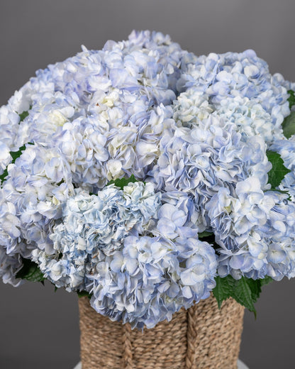 Basket arrangement Blue Serenity - DJ flowers