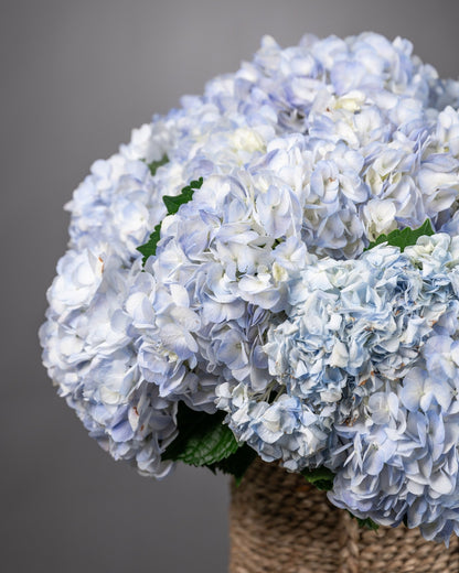 Basket arrangement Blue Serenity - DJ flowers