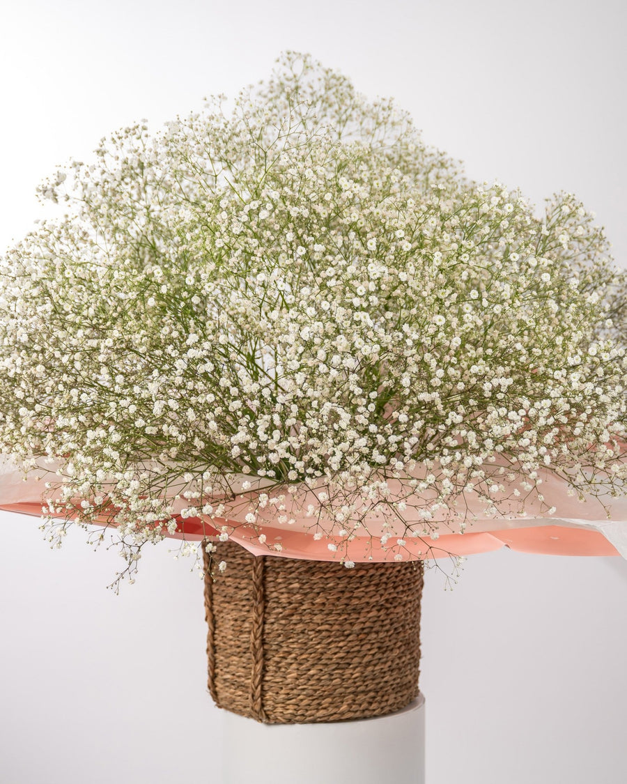 Basket arrangement Cloud Nine - DJ flowers