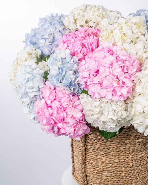 Basket arrangement Dreamland - DJ flowers