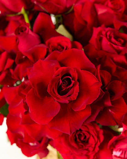 Basket arrangement Fireworks - DJ flowers