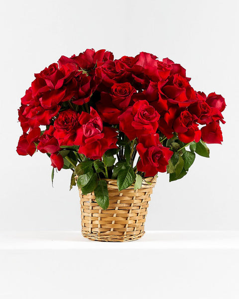 Basket arrangement Fireworks - DJ flowers