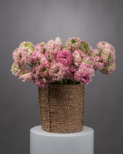Композиция в корзине Ranunculus Garden
