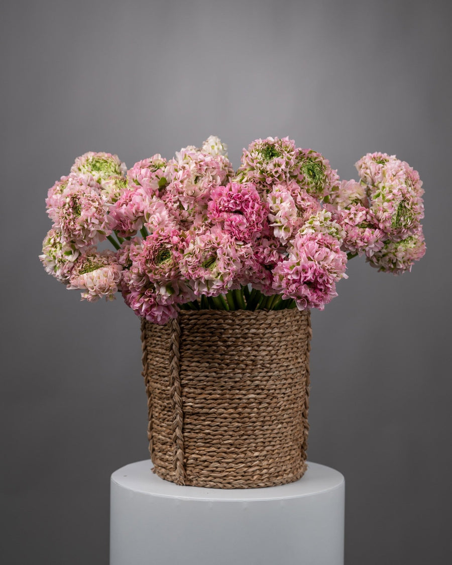 Композиция в корзине Ranunculus Garden