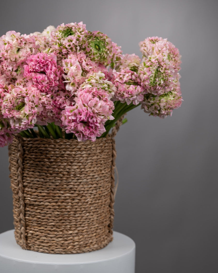 Basket arrangement Ranunculus Garden - DJ flowers