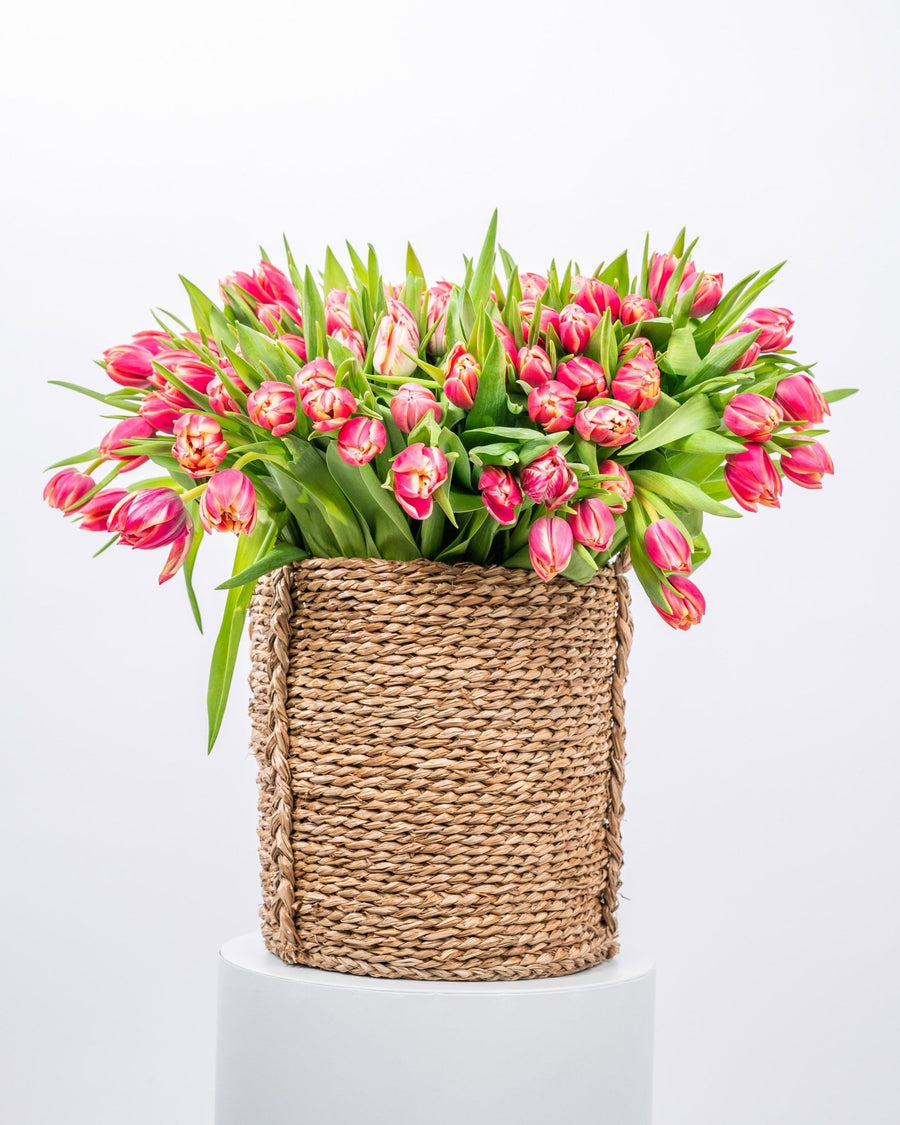 Basket arrangement Tulip Majesty - DJ flowers