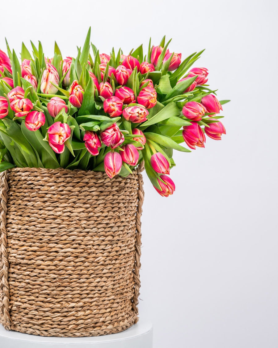 Basket arrangement Tulip Majesty - DJ flowers