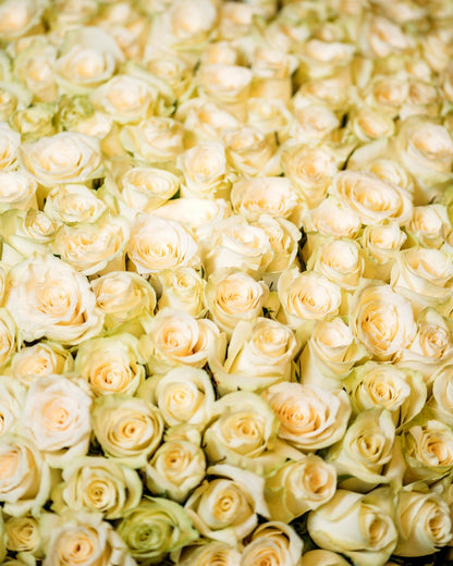 Big bouquet of flowers Dream big - DJ flowers