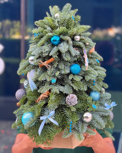 Blue Lights Christmas tree (size S) - DJ flowers