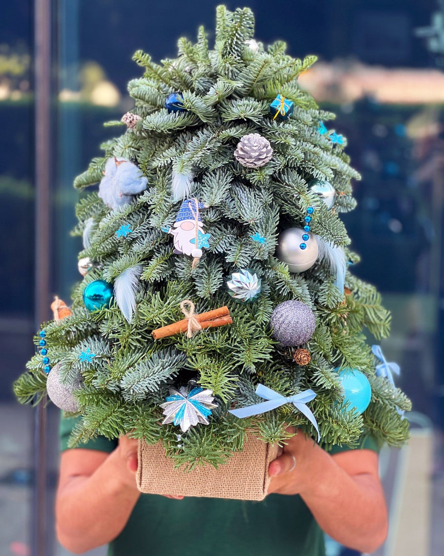 Blue Lights Christmas tree (size S) - DJ flowers