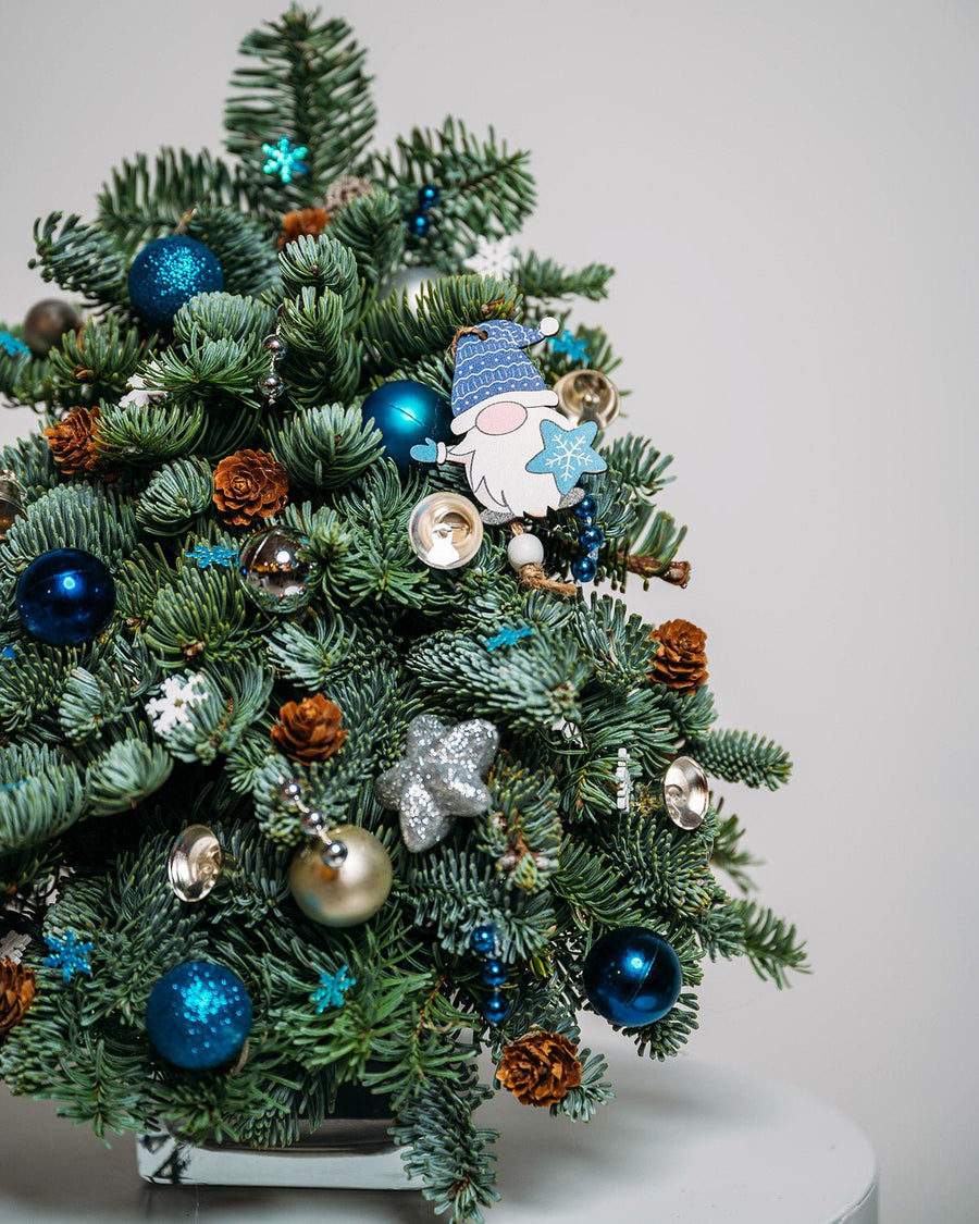 Blue Lights Christmas tree (size XS) - DJ flowers