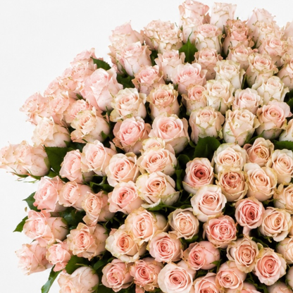 Pink rose bouquet Belle - DJ flowers