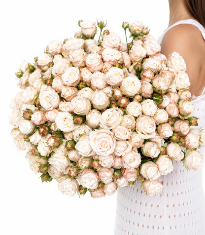 Bouquet Cream Rose Meringue - DJ flowers