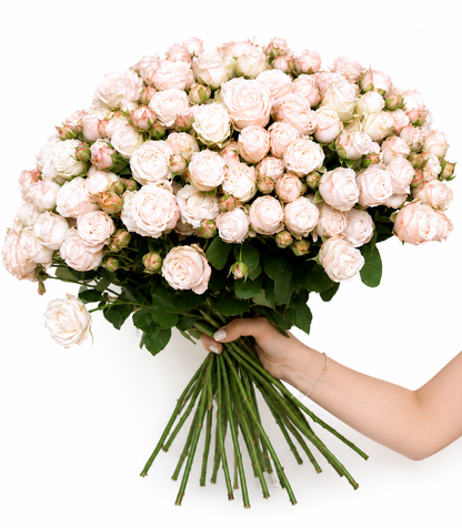 Bouquet Cream Rose Meringue - DJ flowers