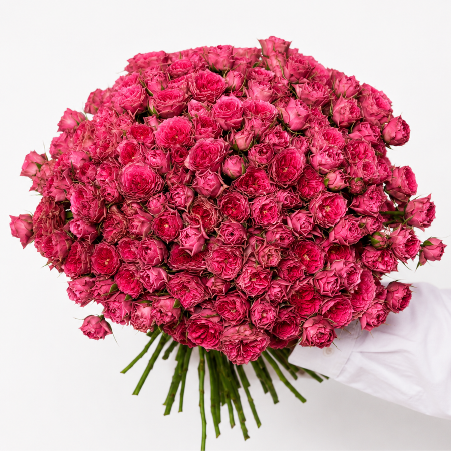 Garden spray rose bouquet in deep pink, Sillage - DJ flowers
