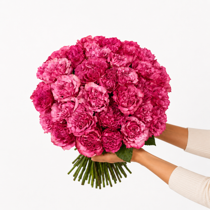 Monobouquet of garden roses Wishful - DJ flowers