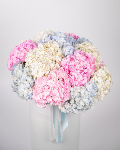 Box arrangement Hydrangea Horizons - DJ flowers