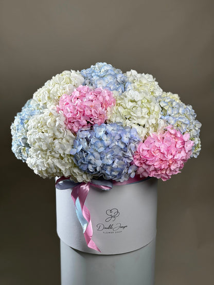 Box arrangement Hydrangea Horizons - DJ flowers