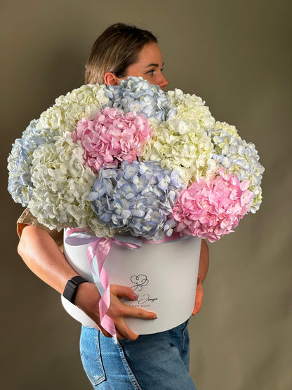 Box arrangement Hydrangea Horizons - DJ flowers