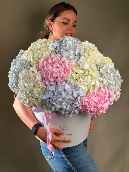 Box arrangement Hydrangea Horizons - DJ flowers