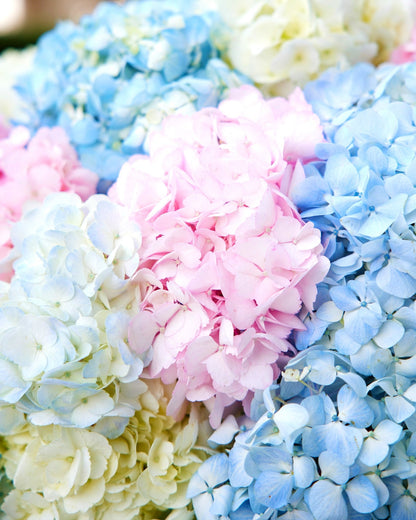 Box arrangement Say it in pastel - DJ flowers