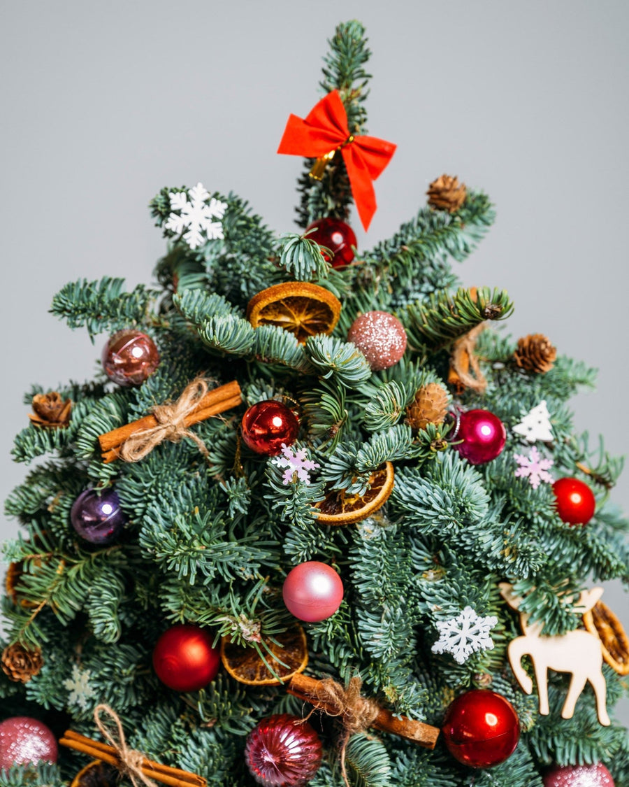 Christmas tree Bright lights (size M) - DJ flowers
