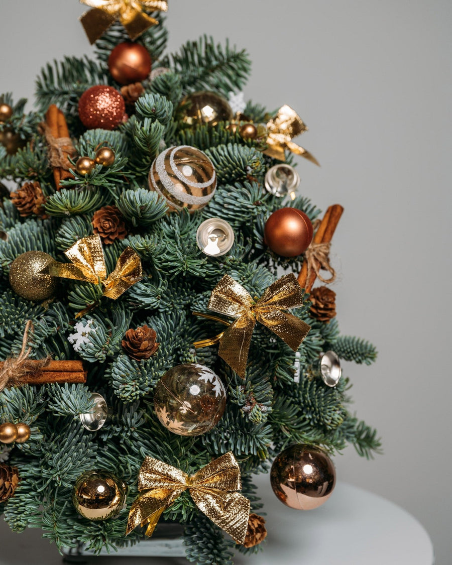 Christmas tree Bronze lights (size S) - DJ flowers