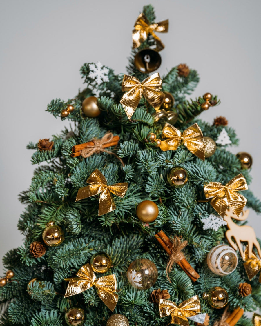 Christmas tree Golden lights (size M) - DJ flowers