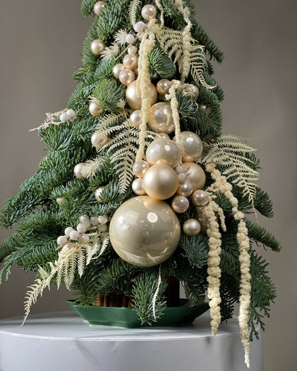 Christmas tree Nordic Beauty - DJ flowers