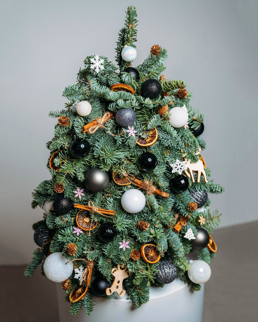 Christmas tree Star lights (size M) - DJ flowers