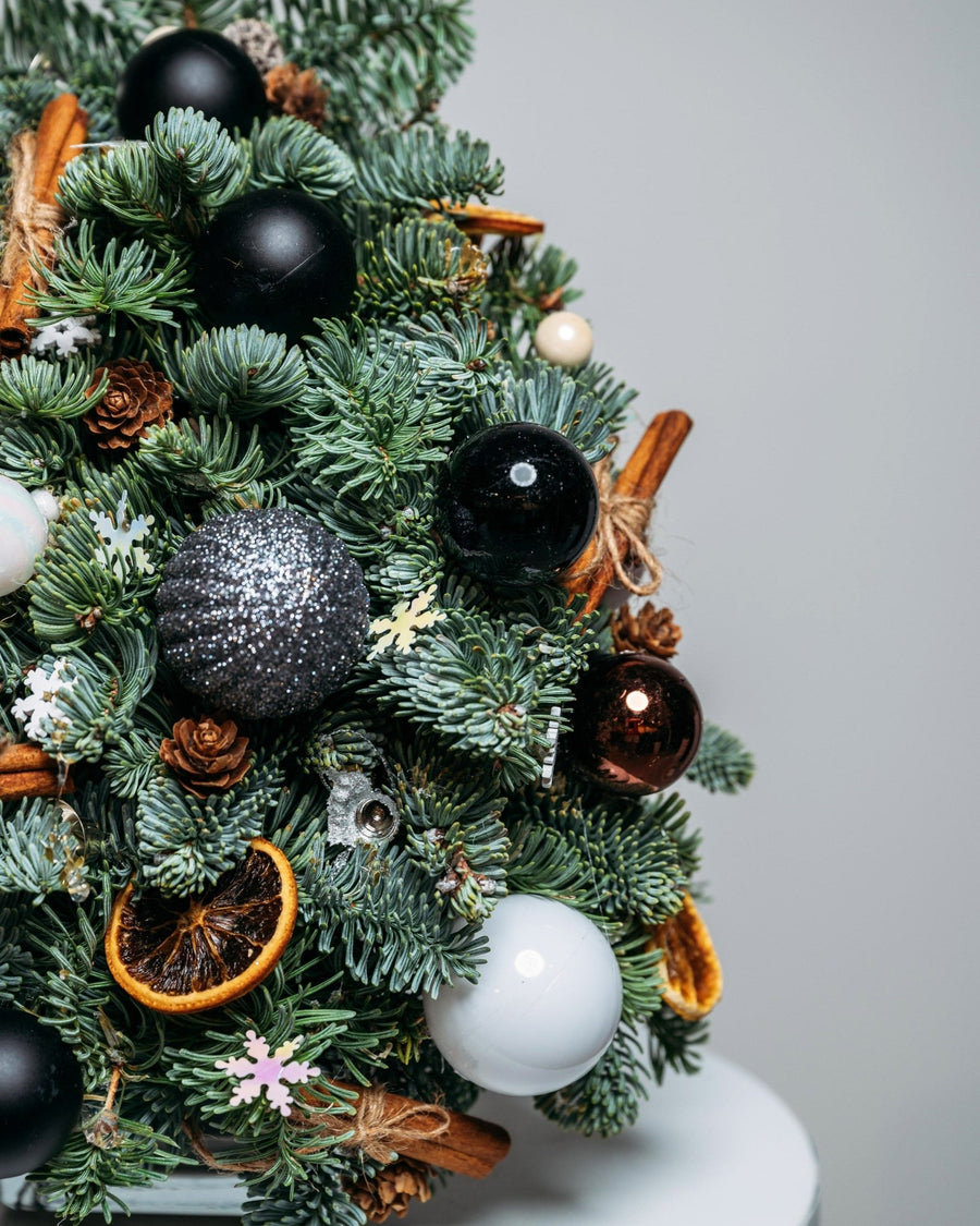 Christmas tree Star lights (size XS) - DJ flowers