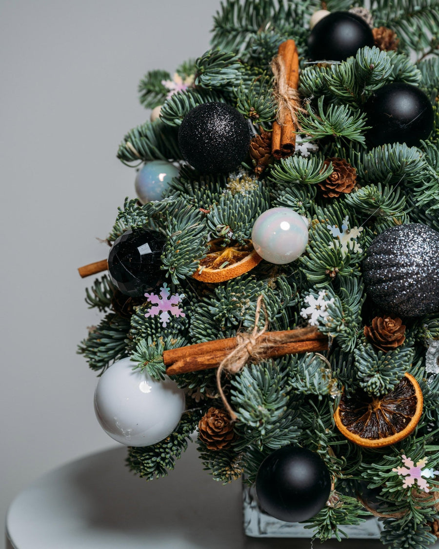 Christmas tree Star lights (size XS) - DJ flowers