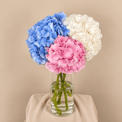 Floral Essence - DJ flowers