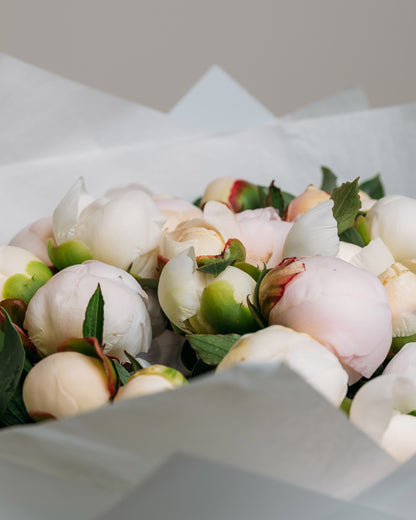 Peony bouquet Pearl Petal Elegance