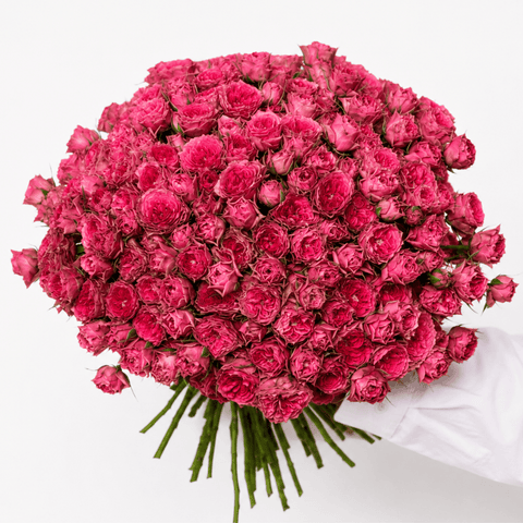 Garden spray rose bouquet in deep pink, Sillage - DJ flowers