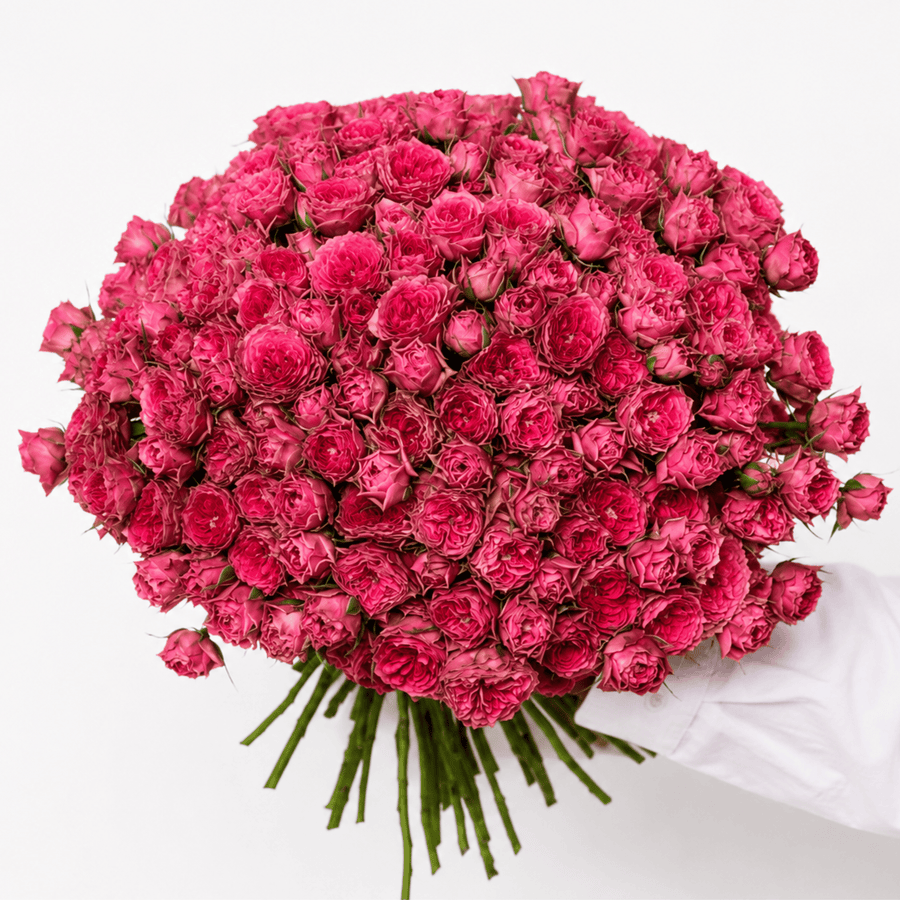 Garden spray rose bouquet in deep pink, Sillage - DJ flowers