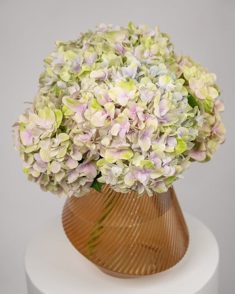 Hydrangea Vase arrangement Cozy Haven - DJ flowers