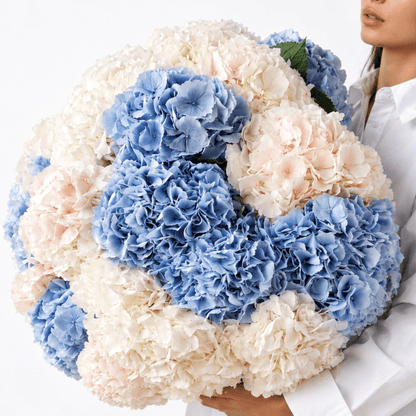 Hydrangeas bouquet Highline - DJ flowers