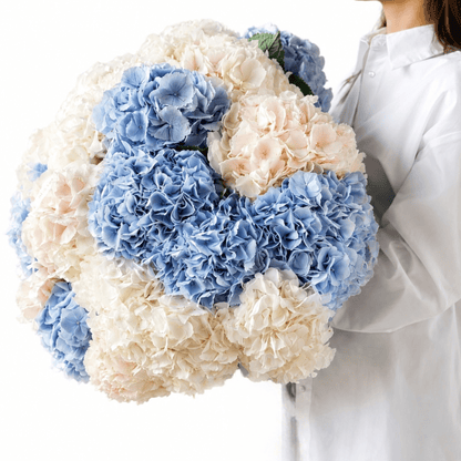 Hydrangeas bouquet Highline - DJ flowers
