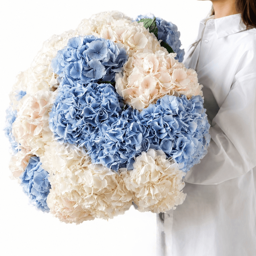 Hydrangeas bouquet Highline - DJ flowers