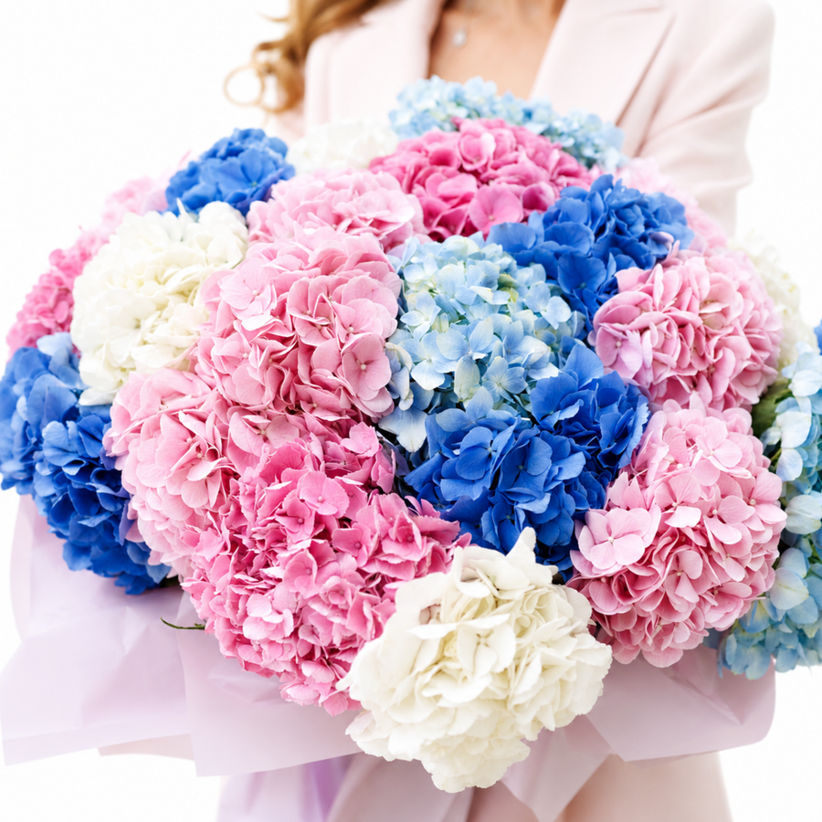 Hydrangeas bouquet Prism - DJ flowers