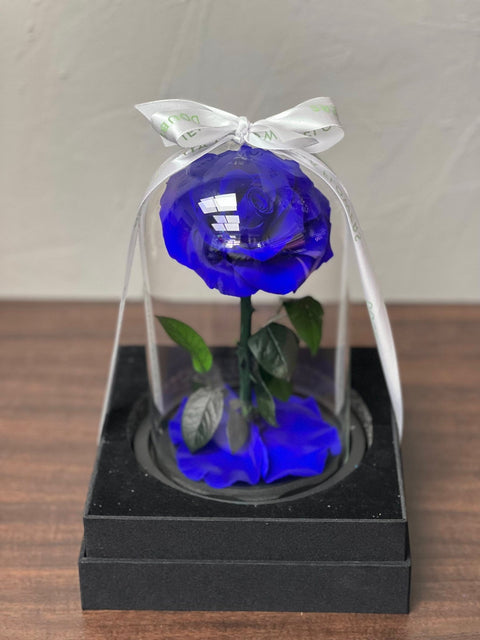 Infinity Rose Single Blue - DJ flowers